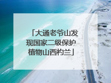 大通老爷山发现国家二级保护植物山西杓兰