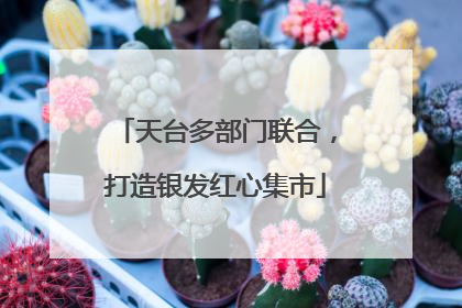 天台多部门联合，打造银发红心集市