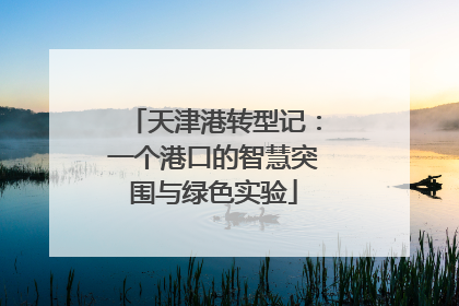 天津港转型记：一个港口的智慧突围与绿色实验