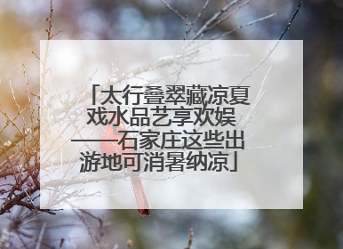 太行叠翠藏凉夏 戏水品艺享欢娱——石家庄这些出游地可消暑纳凉