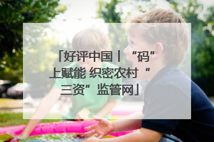 好评中国丨“码”上赋能 织密农村“三资”监管网