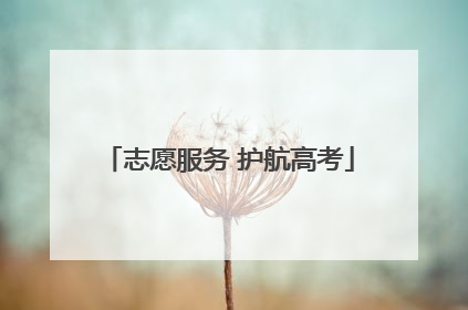 志愿服务 护航高考