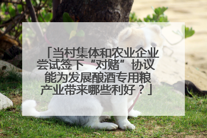 当村集体和农业企业尝试签下“对赌”协议 能为发展酿酒专用粮产业带来哪些利好？