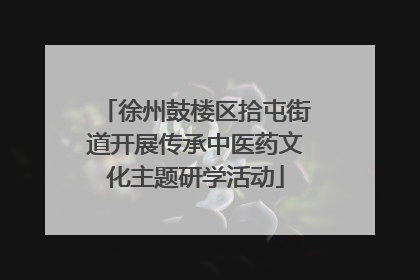 徐州鼓楼区拾屯街道开展传承中医药文化主题研学活动