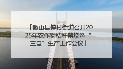 微山县傅村街道召开2025年农作物秸秆禁烧暨“三夏”生产工作会议