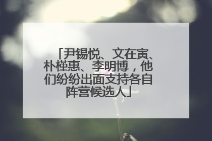 尹锡悦、文在寅、朴槿惠、李明博，他们纷纷出面支持各自阵营候选人
