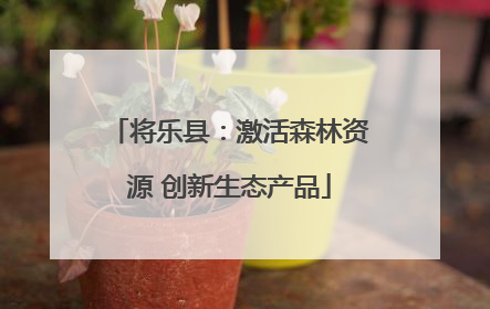 将乐县：激活森林资源 创新生态产品
