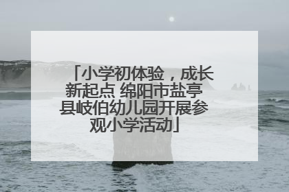小学初体验，成长新起点 绵阳市盐亭县岐伯幼儿园开展参观小学活动