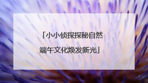 小小侦探探秘自然 端午文化焕发新光