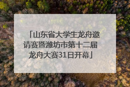 山东省大学生龙舟邀请赛暨潍坊市第十二届龙舟大赛31日开幕