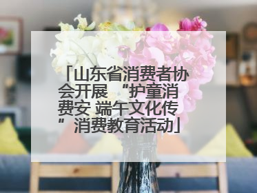 山东省消费者协会开展 “护童消费安 端午文化传”消费教育活动