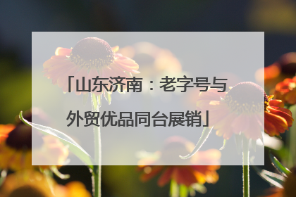 山东济南：老字号与外贸优品同台展销