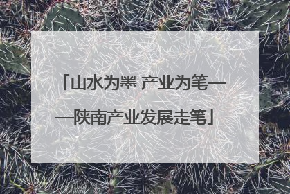 山水为墨 产业为笔——陕南产业发展走笔
