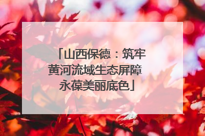 山西保德：筑牢黄河流域生态屏障 永葆美丽底色