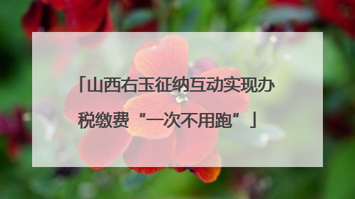 山西右玉征纳互动实现办税缴费“一次不用跑”
