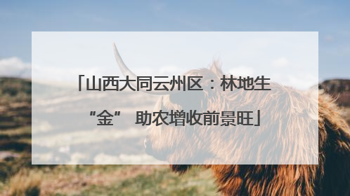 山西大同云州区：林地生“金” 助农增收前景旺