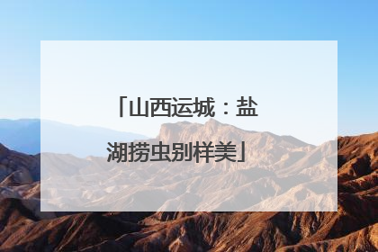 山西运城：盐湖捞虫别样美