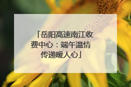 岳阳高速南江收费中心：端午温情传递暖人心