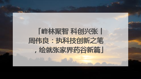 峰林聚智 科创兴张丨周伟良：执科技创新之笔，绘就张家界药谷新篇