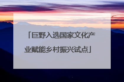巨野入选国家文化产业赋能乡村振兴试点