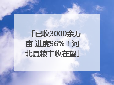 已收3000余万亩 进度96%！河北夏粮丰收在望