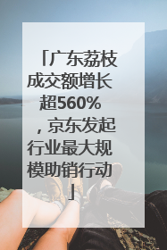 广东荔枝成交额增长超560%，京东发起行业最大规模助销行动