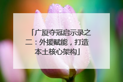 广厦夺冠启示录之二：外援赋能，打造本土核心架构