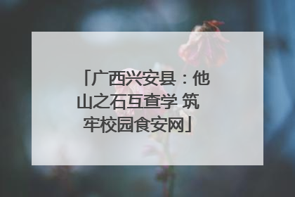 广西兴安县：他山之石互查学 筑牢校园食安网