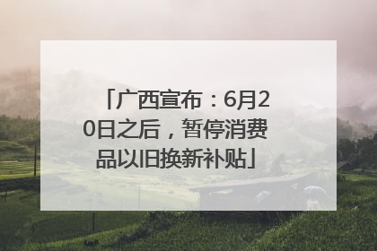 广西宣布：6月20日之后，暂停消费品以旧换新补贴