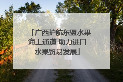 广西护航东盟水果海上通道 助力进口水果贸易发展