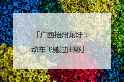 广西梧州龙圩：动车飞驰过田野