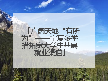 广阔天地“有所为”——宁夏多举措拓宽大学生基层就业渠道