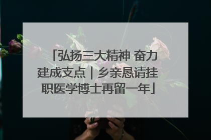弘扬三大精神 奋力建成支点｜乡亲恳请挂职医学博士再留一年