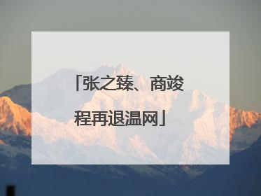 张之臻、商竣程再退温网