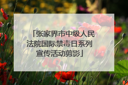 张家界市中级人民法院国际禁毒日系列宣传活动剪影