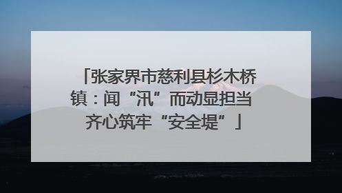 张家界市慈利县杉木桥镇：闻“汛”而动显担当 齐心筑牢“安全堤”