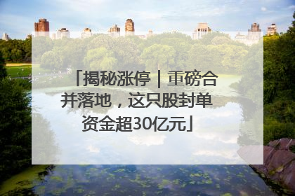 揭秘涨停｜重磅合并落地，这只股封单资金超30亿元