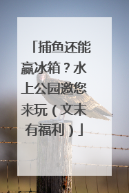 捕鱼还能赢冰箱？水上公园邀您来玩（文末有福利）