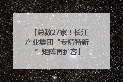 总数27家！长江产业集团“专精特新”矩阵再扩容