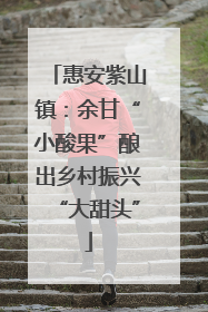 惠安紫山镇：余甘“小酸果”酿出乡村振兴“大甜头”