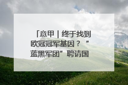 意甲｜终于找到欧冠冠军基因？“蓝黑军团”聘请国米名宿齐沃执教