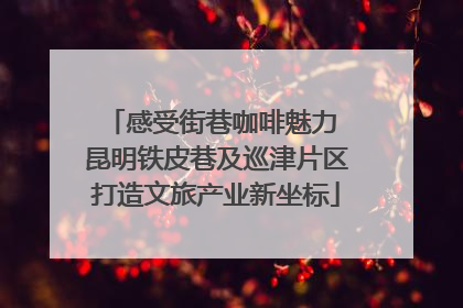 感受街巷咖啡魅力 昆明铁皮巷及巡津片区打造文旅产业新坐标