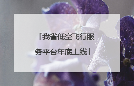 我省低空飞行服务平台年底上线