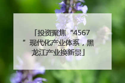 投资聚焦“4567”现代化产业体系，黑龙江产业换新景