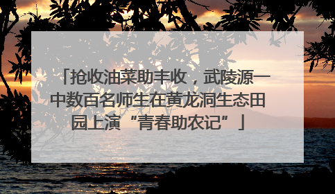 抢收油菜助丰收，武陵源一中数百名师生在黄龙洞生态田园上演“青春助农记”