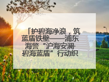 护碧海净浪,筑蓝盾铁壁——浦东海警“沪海安澜·碧海蓝盾”行动织密立体防控网