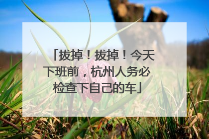 拔掉！拔掉！今天下班前，杭州人务必检查下自己的车