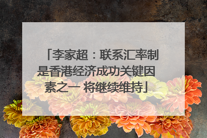 李家超：联系汇率制是香港经济成功关键因素之一 将继续维持