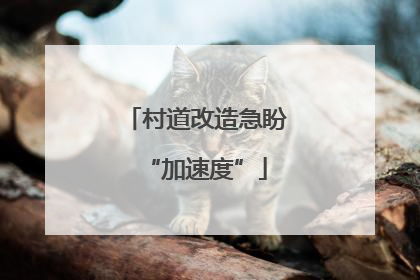 村道改造急盼“加速度”