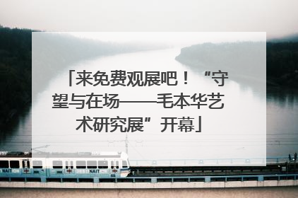来免费观展吧！“守望与在场——毛本华艺术研究展”开幕